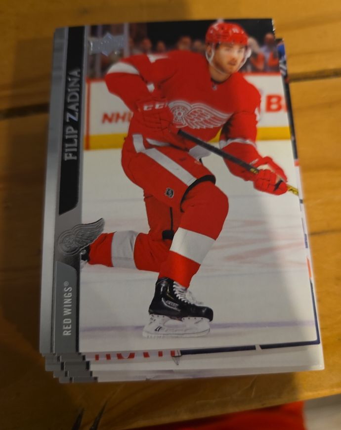 2020-21 Upper Deck #69 Filip Zadina — front