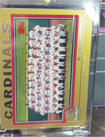 2004 Topps #664 St. Louis Cardinals Team Card — front