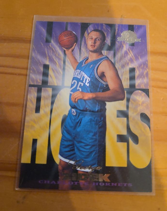 1995-96 SkyBox Premium #221 George Zidek — front