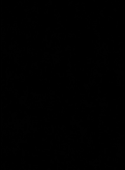 Apple iPhone 11 - 64 GB - Black Gray (Unlocked) — front