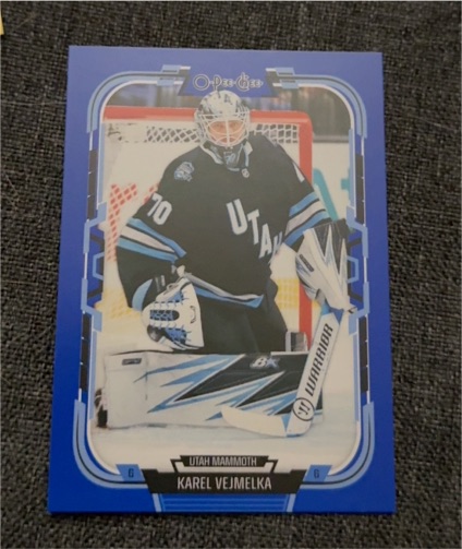 2025-26 O-Pee-Chee #90 Karel Vejmelka — front