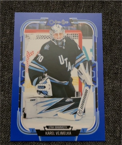 2025-26 O-Pee-Chee #90 Karel Vejmelka — front