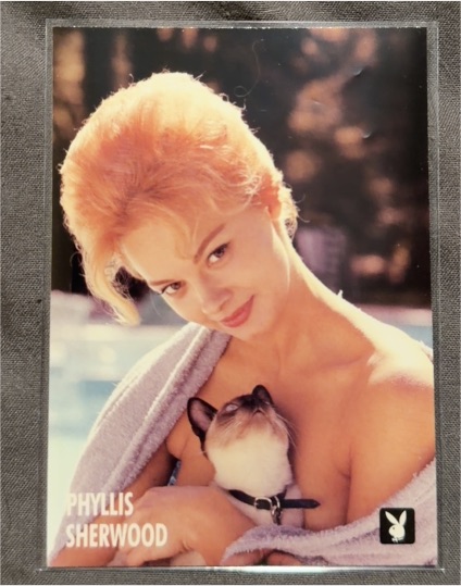 1996 Playboy Centerfold Collector Card August #29 Phyllis Sherwood — front