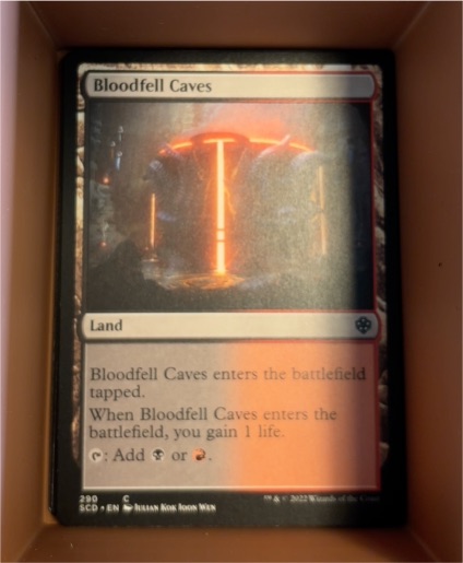 2022 Magic: The Gathering Bloodfell Caves #290 — front