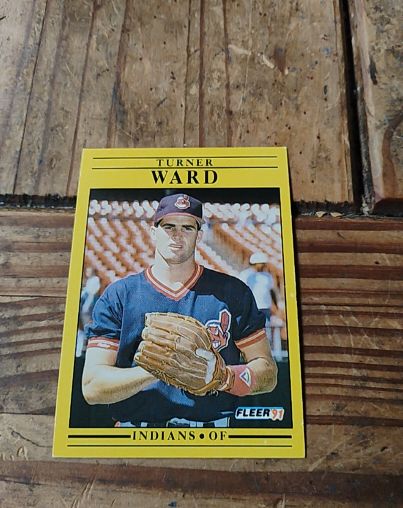 1991 Fleer #383 Turner Ward — front