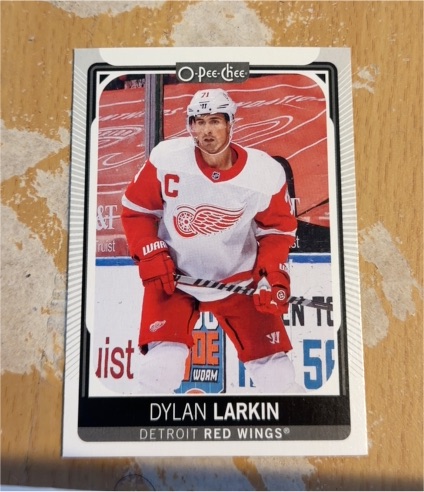 2021-22 O-Pee-Chee #15 Dylan Larkin — front