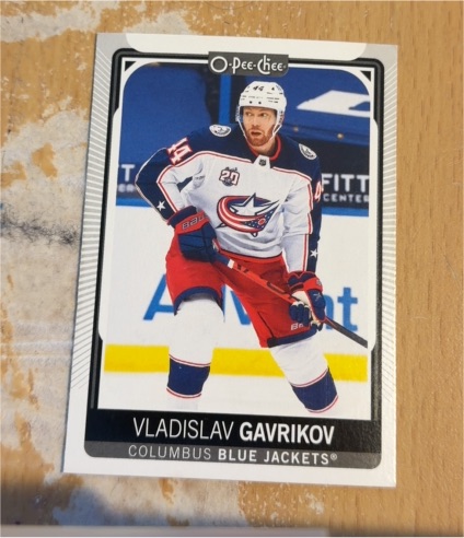 2021-22 O-Pee-Chee #215 Vladislav Gavrikov — front
