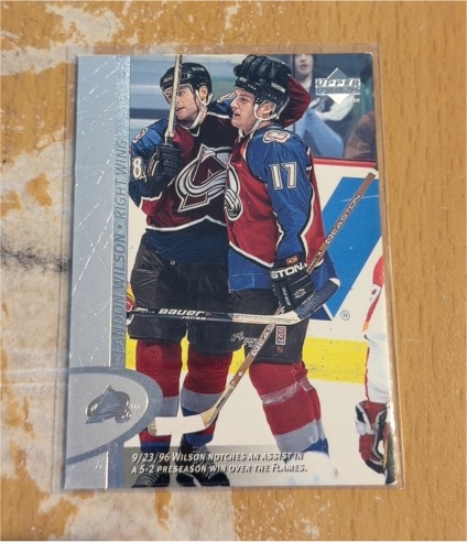 1996-97 Upper Deck #242 Landon Wilson — front