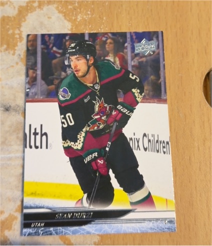 2024-25 Upper Deck Series 1 #11 Sean Durzi — front