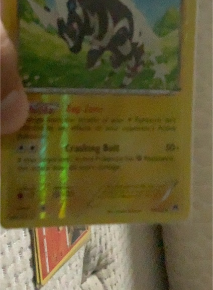 2015 Pokémon XY Primal Clash #111 Zigzagoon — front