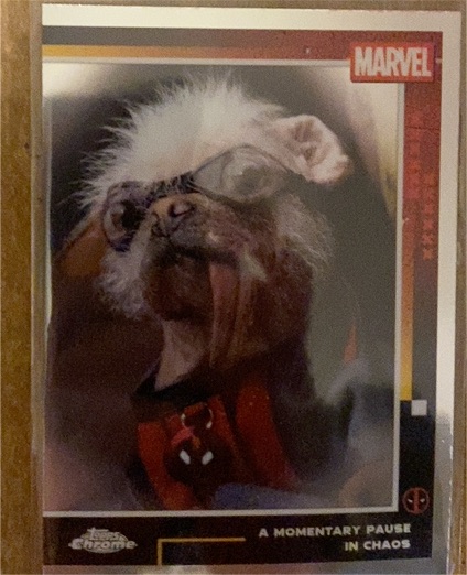 2025 Topps Chrome Deadpool & Wolverine Dogpool #96 A Momentary Pause in Chaos — front