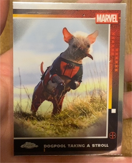 2025 Topps Chrome Deadpool #73 Dogpool Taking a Stroll — front