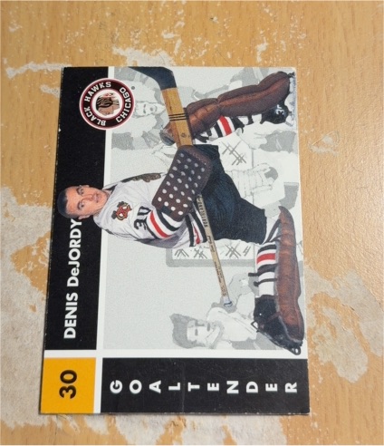 1995-96 Parkhurst 1966-67 #39 Denis DeJordy — front