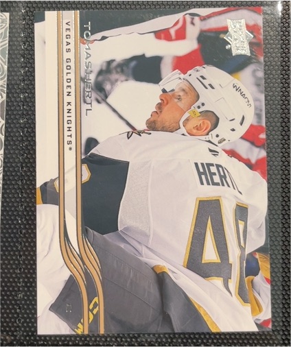2025-26 Upper Deck #181 Tomas Hertl — front