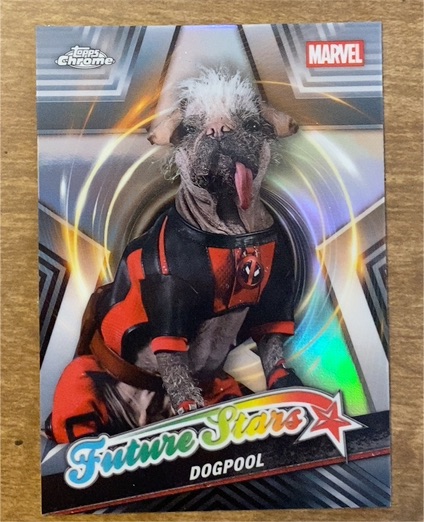2025 Topps Chrome #FS-8 Dogpool — front