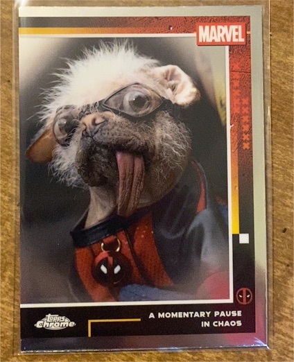 2025 Topps Chrome #96 Dogpool — front