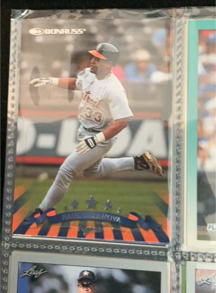 1993 Donruss #33 Raul Casanova — front