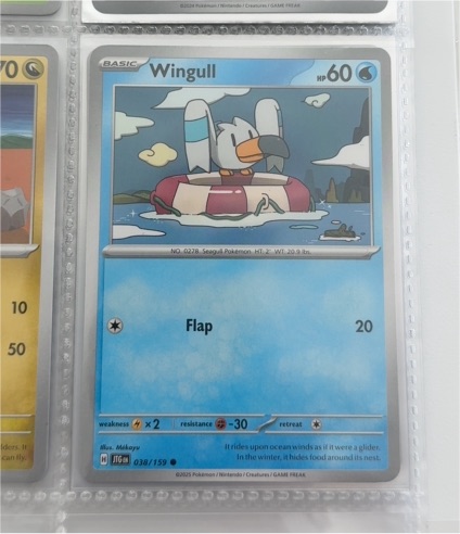 2025 Pokémon #038 Wingull — front