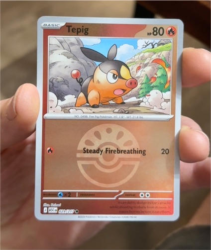 2026 Pokémon #029 Tepig — front
