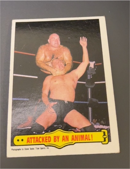 1985 Topps WWF #37 Attacked by an Animal! George "The Animal" Steele — front