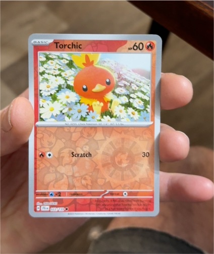2025 Pokémon Journey Together #022 Torchic — front