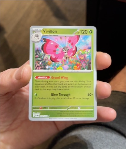 2024 Pokémon POR #009 Vivillon — front
