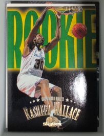 1995-96 Skybox Premium #248 Rasheed Wallace Rookie Card — front