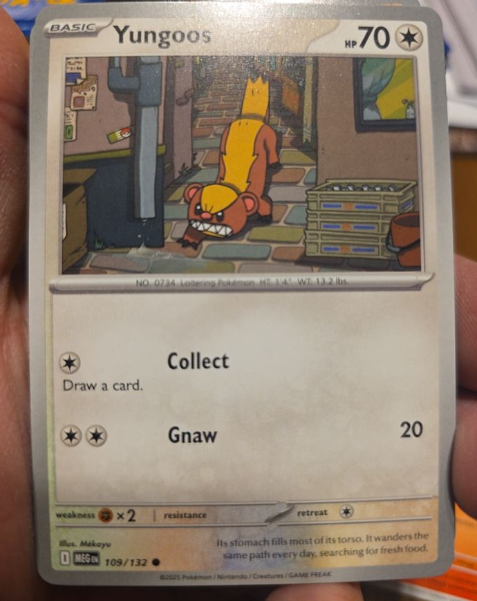 2015 Pokémon ME01 #109 Yungoos — front