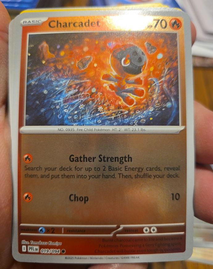 2025 Pokémon TCG Phantasmal Flames #019 Charcadet — front