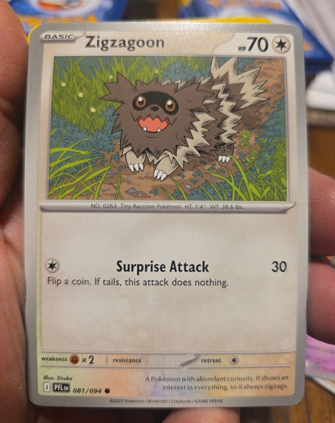 2025 Pokémon Phantasmal Flames #081 Zigzagoon — front