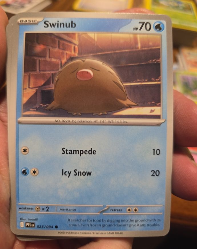 2025 Pokémon Phantasmal Flames #023 Swinub — front