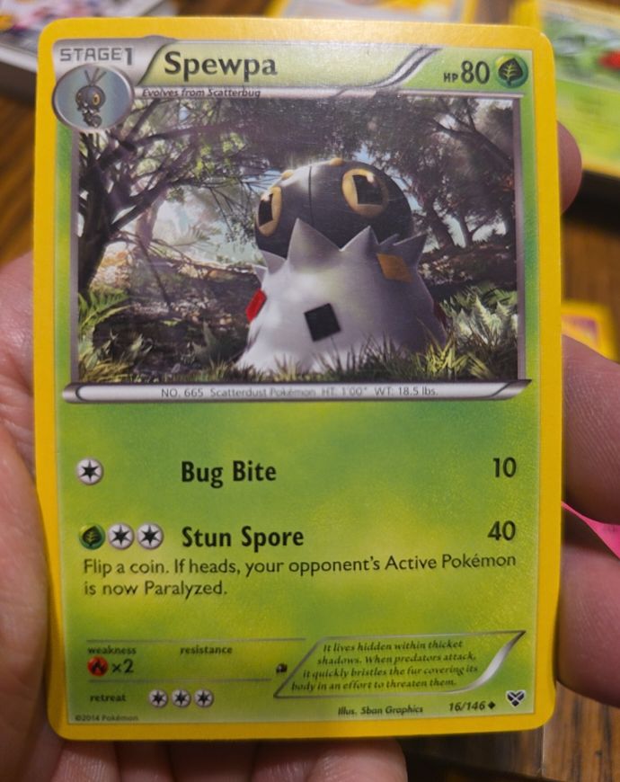 2014 Pokémon XY #16 Spewpa — front