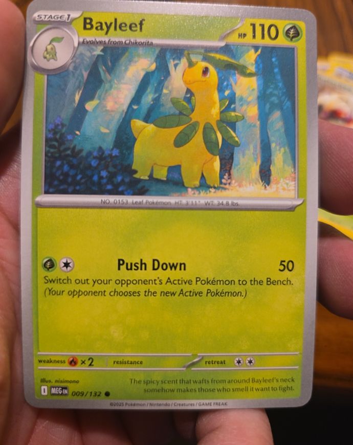 2025 Pokémon TCG Mega Evolution #009 Bayleef — front