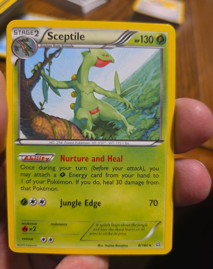 2015 Pokémon XY Primal Clash #8 Sceptile — front