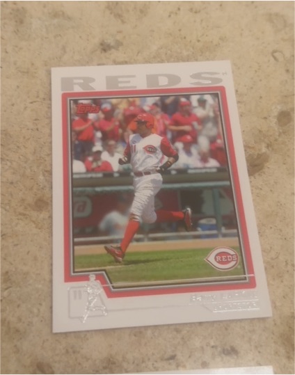 2004 Topps #625 Wily Mo Pena — front
