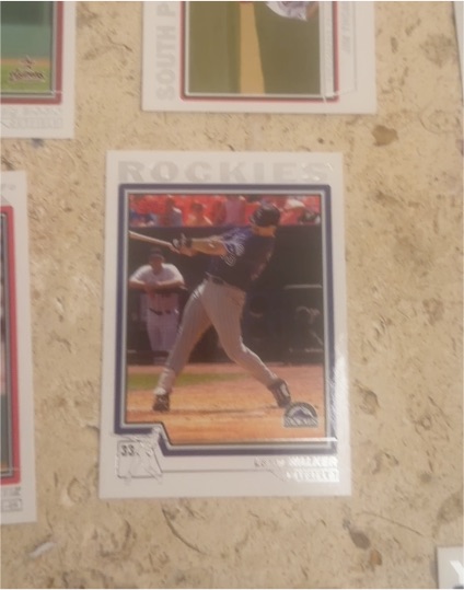 1991 Upper Deck #33 Lance Walker — front