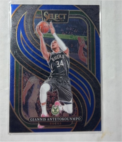 2024-25 Panini Select Premier Level #137 Giannis Antetokounmpo — front