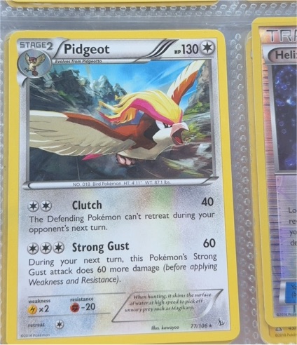 2014 Pokémon XY Flashfire #77 Pidgeot — front