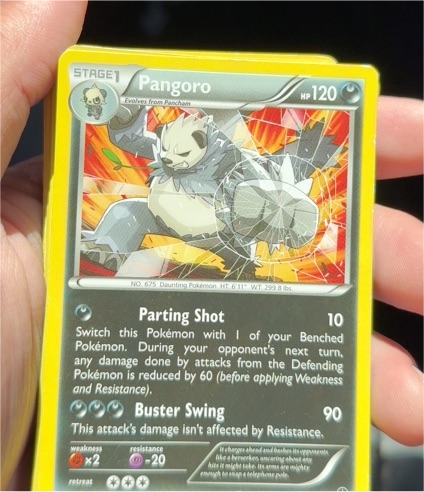 2016 Pokémon Breakpoint #75 Pangoro — front