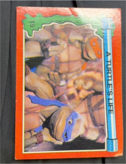 1991 Topps Teenage Mutant Ninja Turtles II #19 A Turtle's Life — front