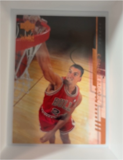 2008-09 Upper Deck #25 Kirk Hinrich — front