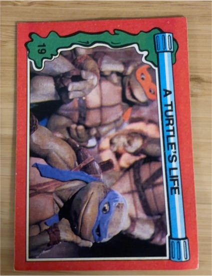 1991 Topps Teenage Mutant Ninja Turtles II #19 A Turtle's Life — front