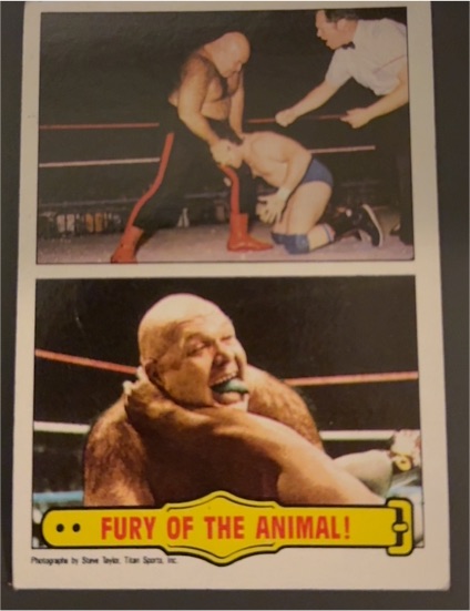 1985 Topps WWF #55 George "The Animal" Steele Fury of the Animal! — front
