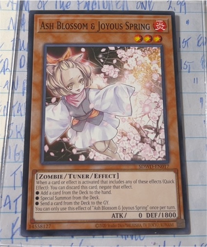 2020 Yu-Gi-Oh! SDWD-EN017 Ash Blossom & Joyous Spring — front