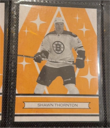 2012-13 O-Pee-Chee Retro #130 Shawn Thornton — front