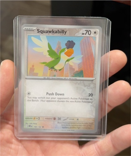 2023 Pokémon SV10: Destined Rivals #160 Squawkabilly — front