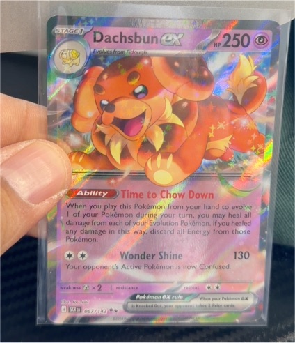 2023 Pokémon TCG Scarlet & Violet Stellar Crown #067 Dachsbun ex — front