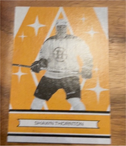 2012-13 O-Pee-Chee Retro #130 Shawn Thornton — front