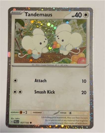 2023 Pokémon SV02: Paldea Evolved #167 Tandemaus — front