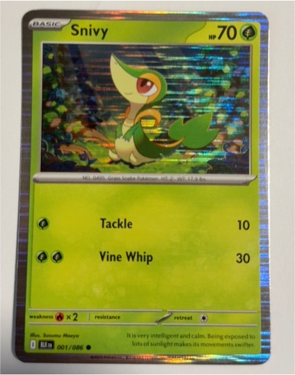 2025 Black Bolt #001 Snivy — front